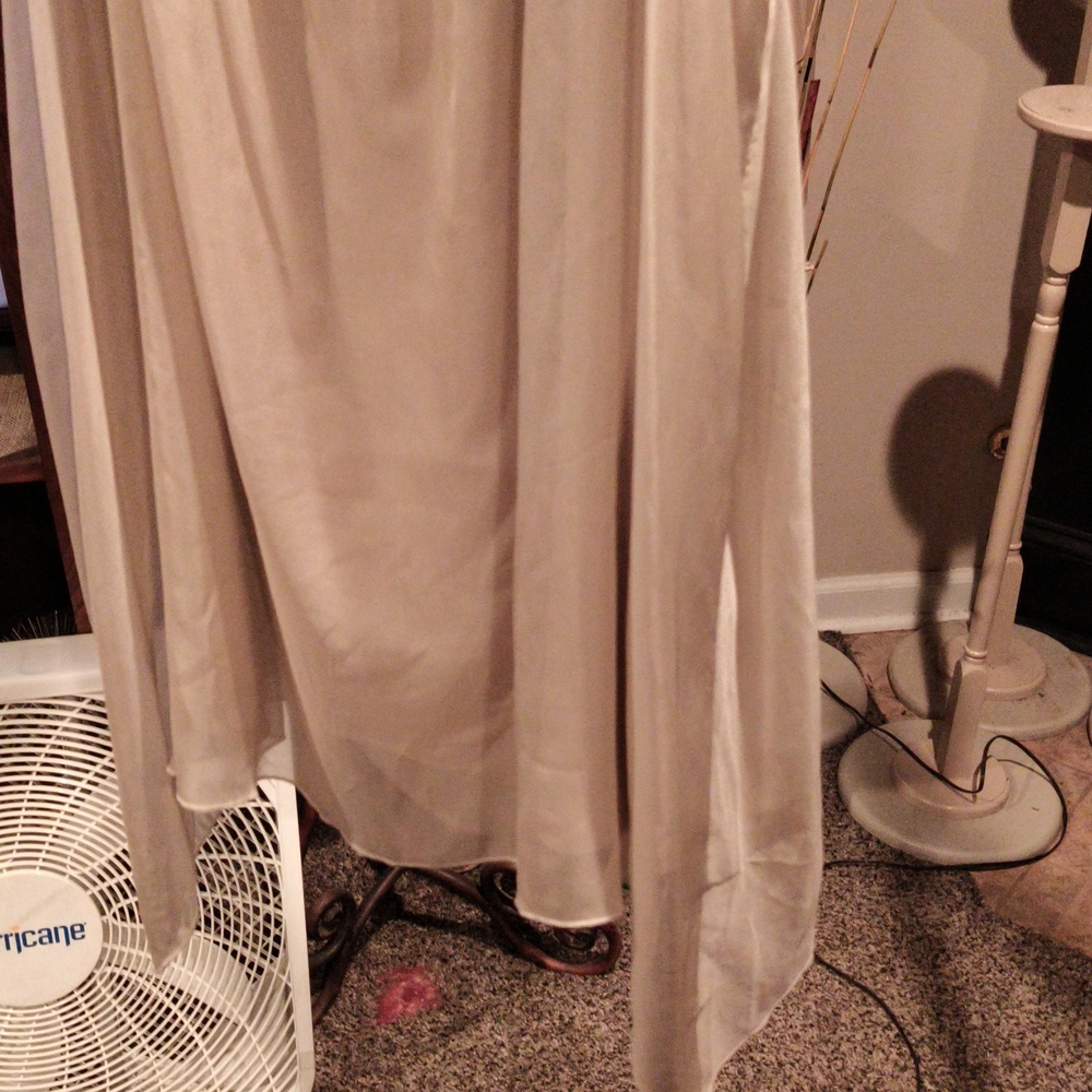 FINAL PRICE Soft Surroundings Taupe Sheer Silk Blouse Size 3X - Picture 3 of 6